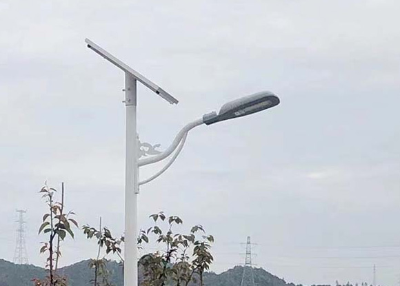 浙江紹興諸暨星羽路燈