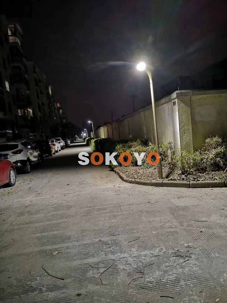 江蘇蘇州某小區3m220V紅掌市電庭院燈