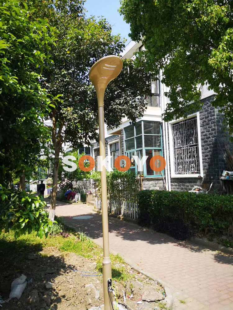 江蘇蘇州某小區3m220V紅掌市電庭院燈