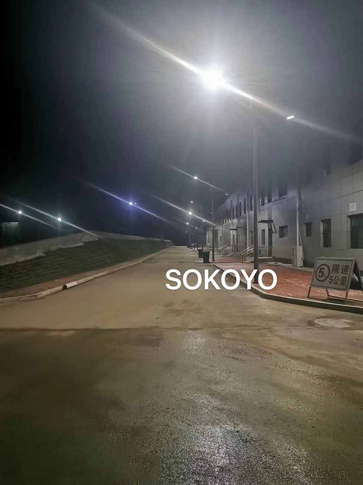 河北保定 廠區8米太陽能路燈